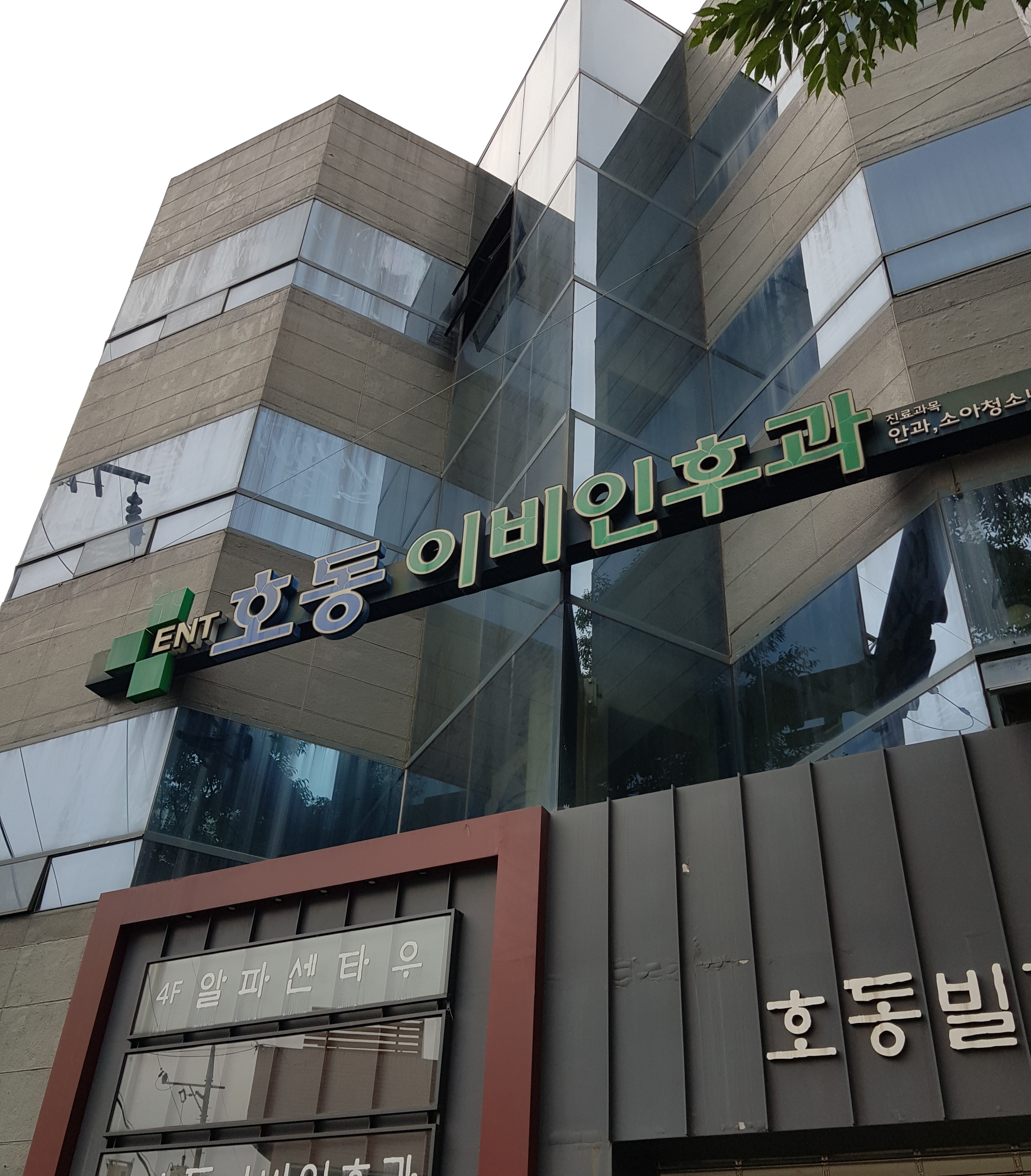 호동이비인후과의원 대표 이미지