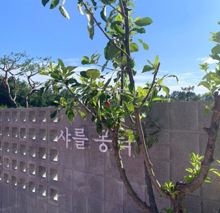 샤를몽탁