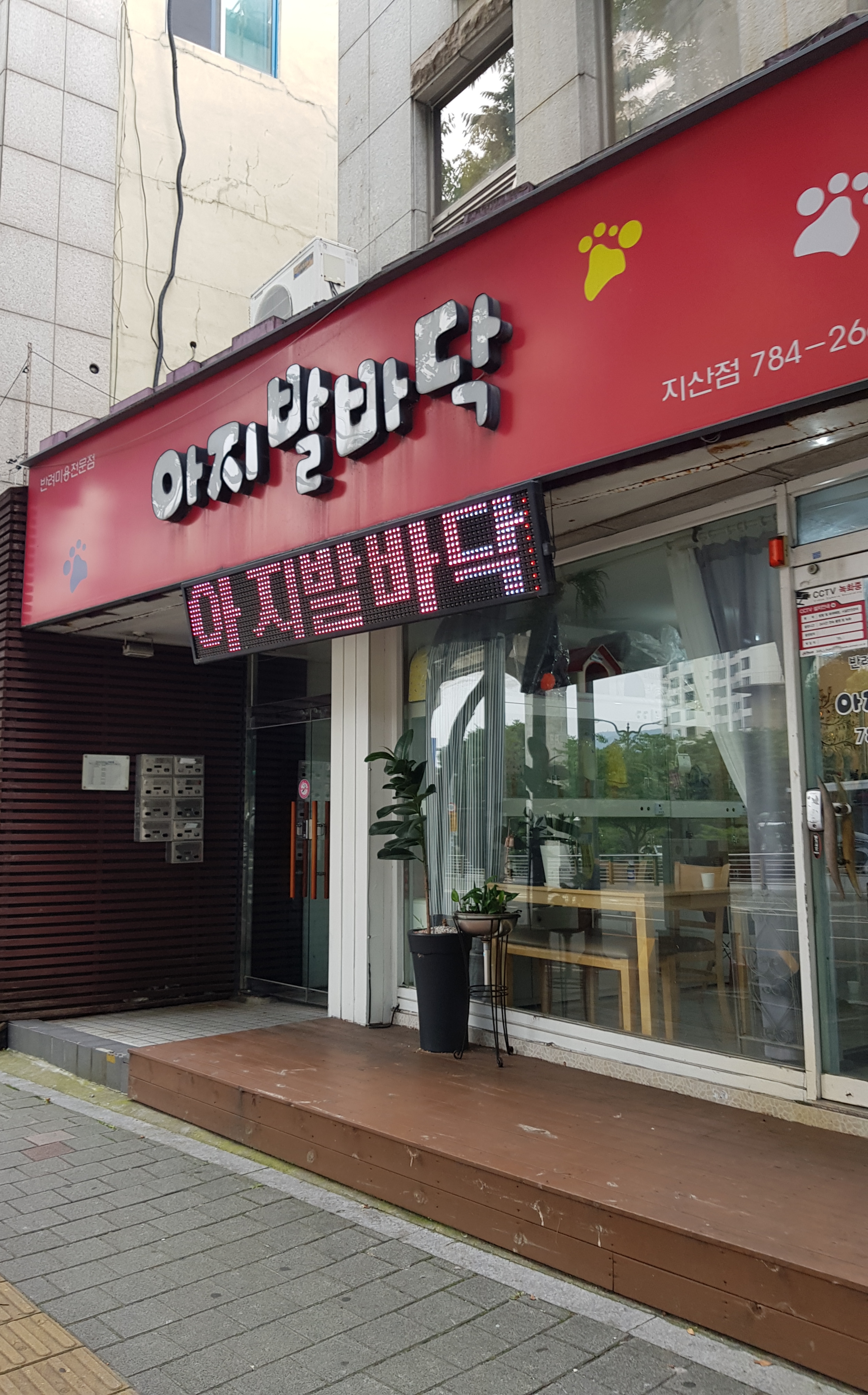아지발바닥 대표 이미지