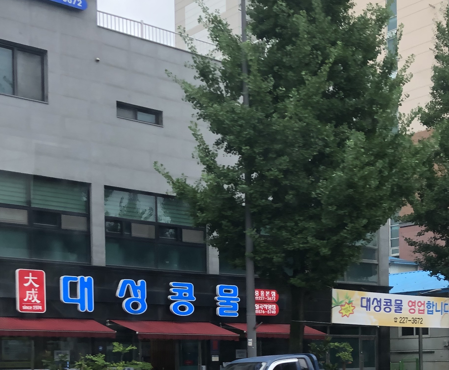 대성콩물 중흥본점