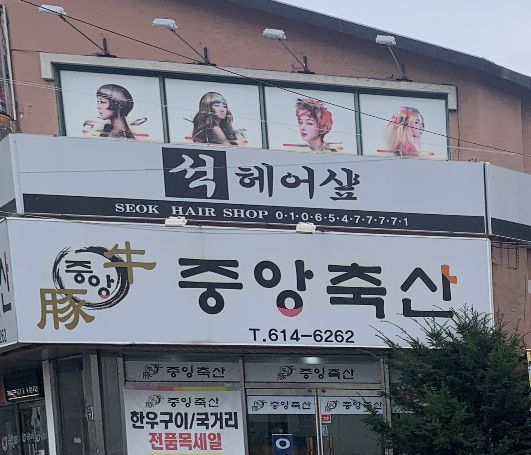중앙축산