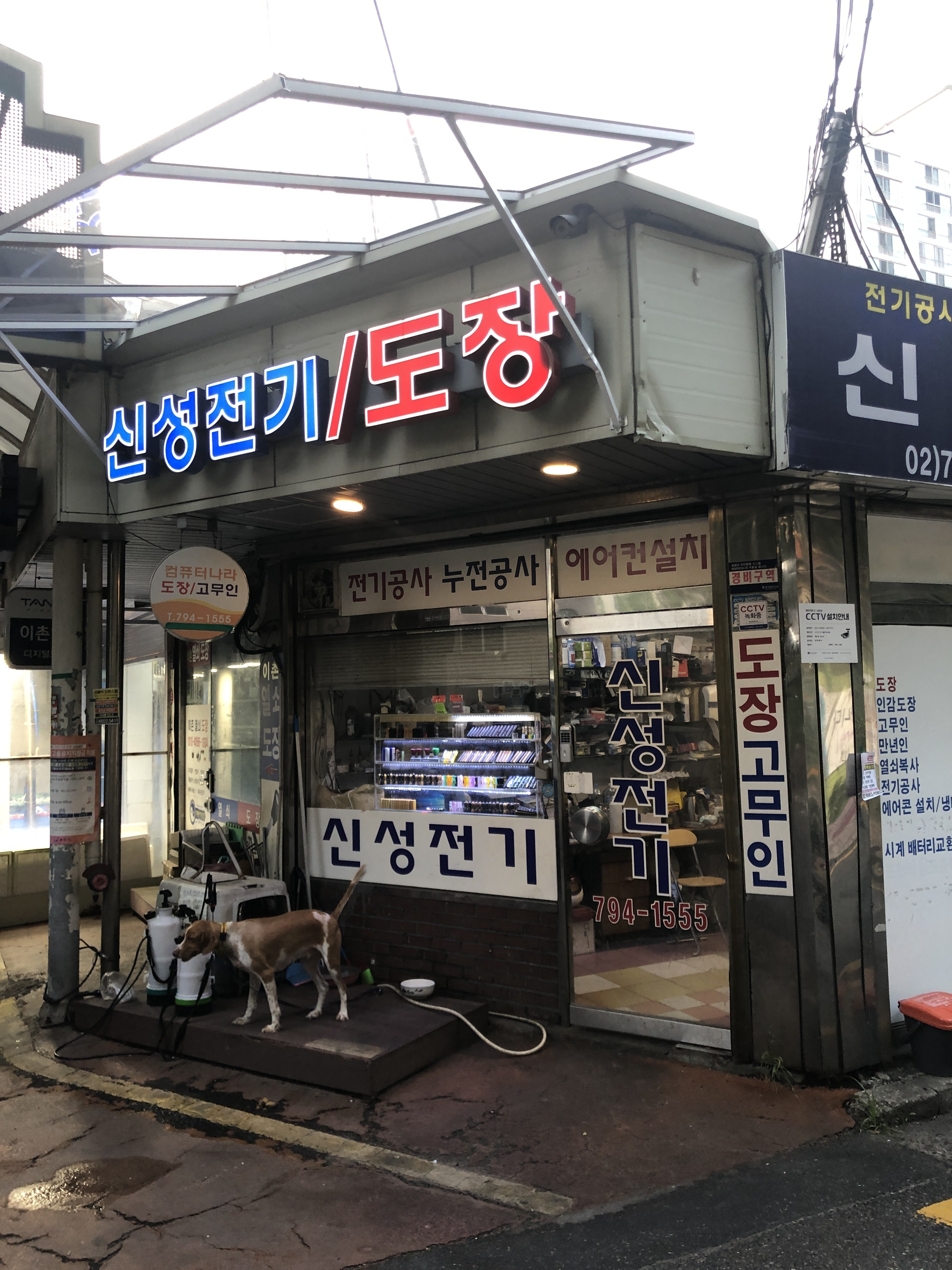 신성전기