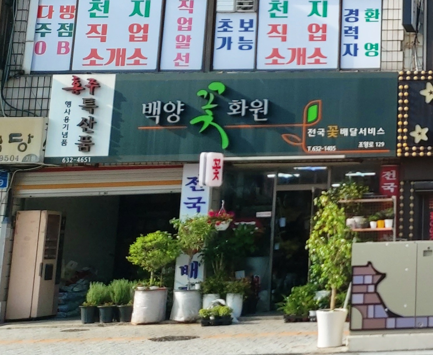 백양꽃화원