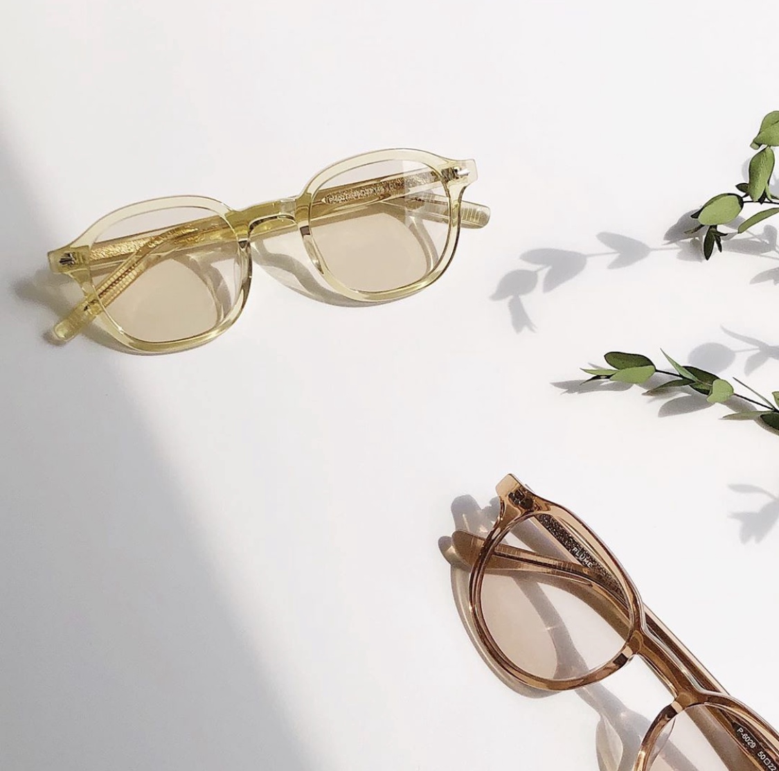 안경,원 대표 이미지