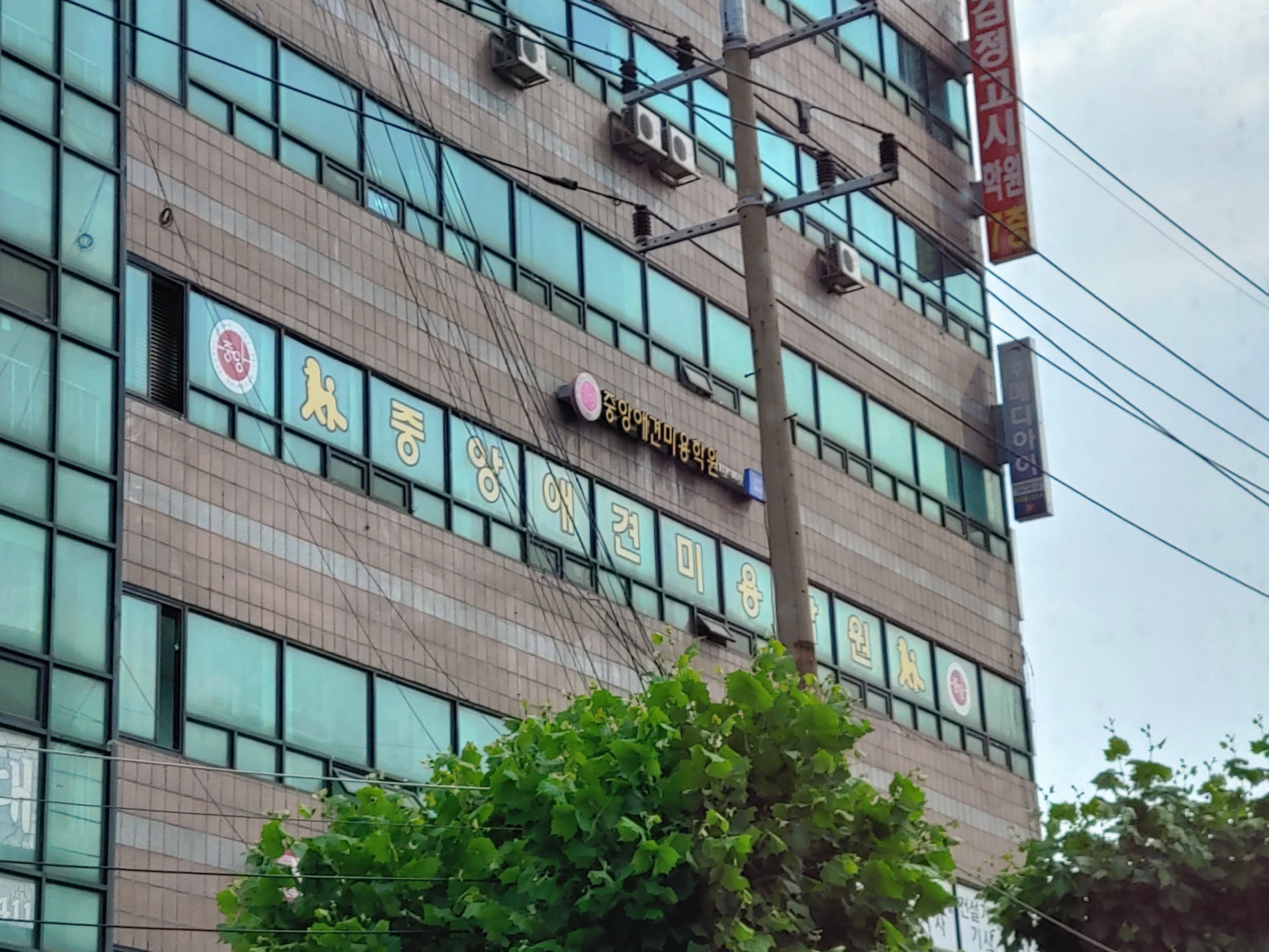중앙애견미용학원