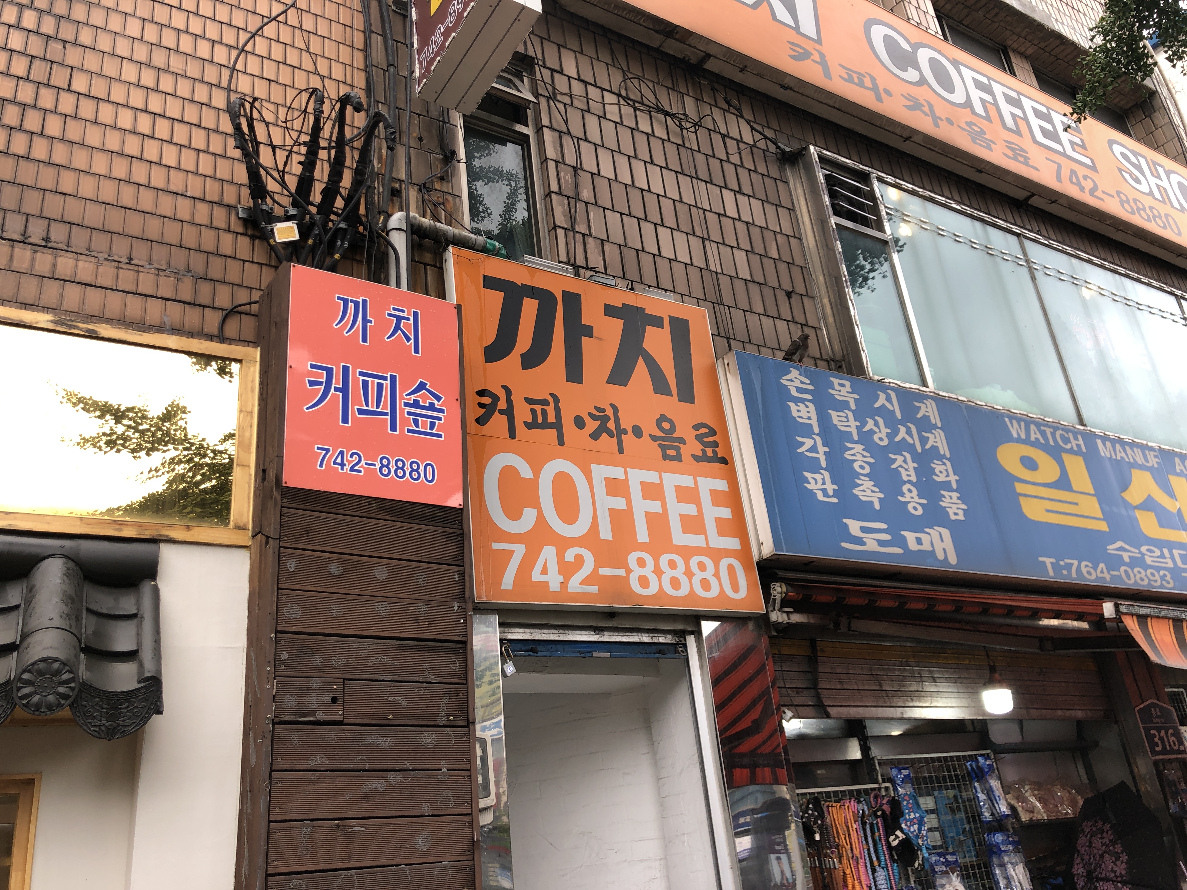 까치다방