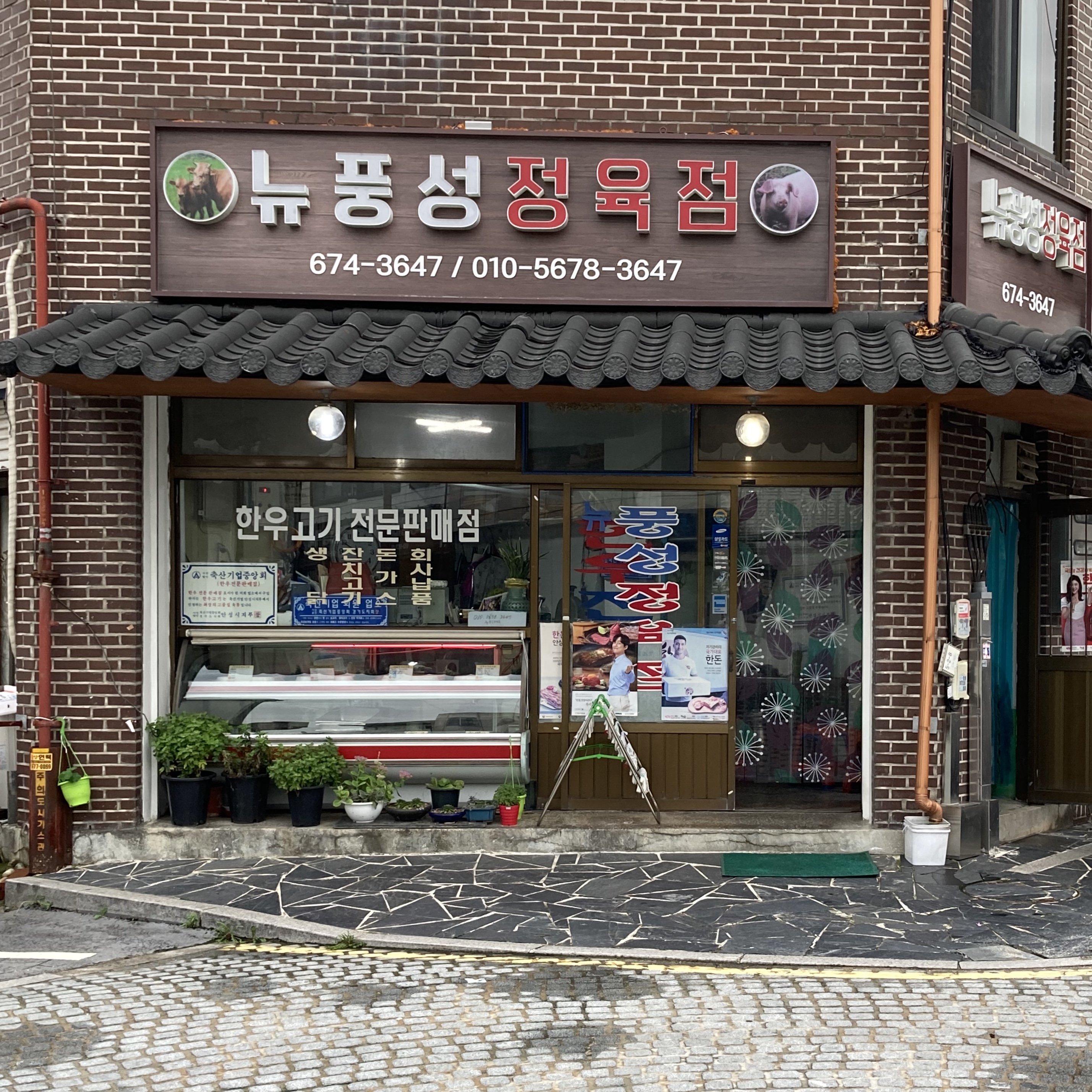 뉴풍성정육점