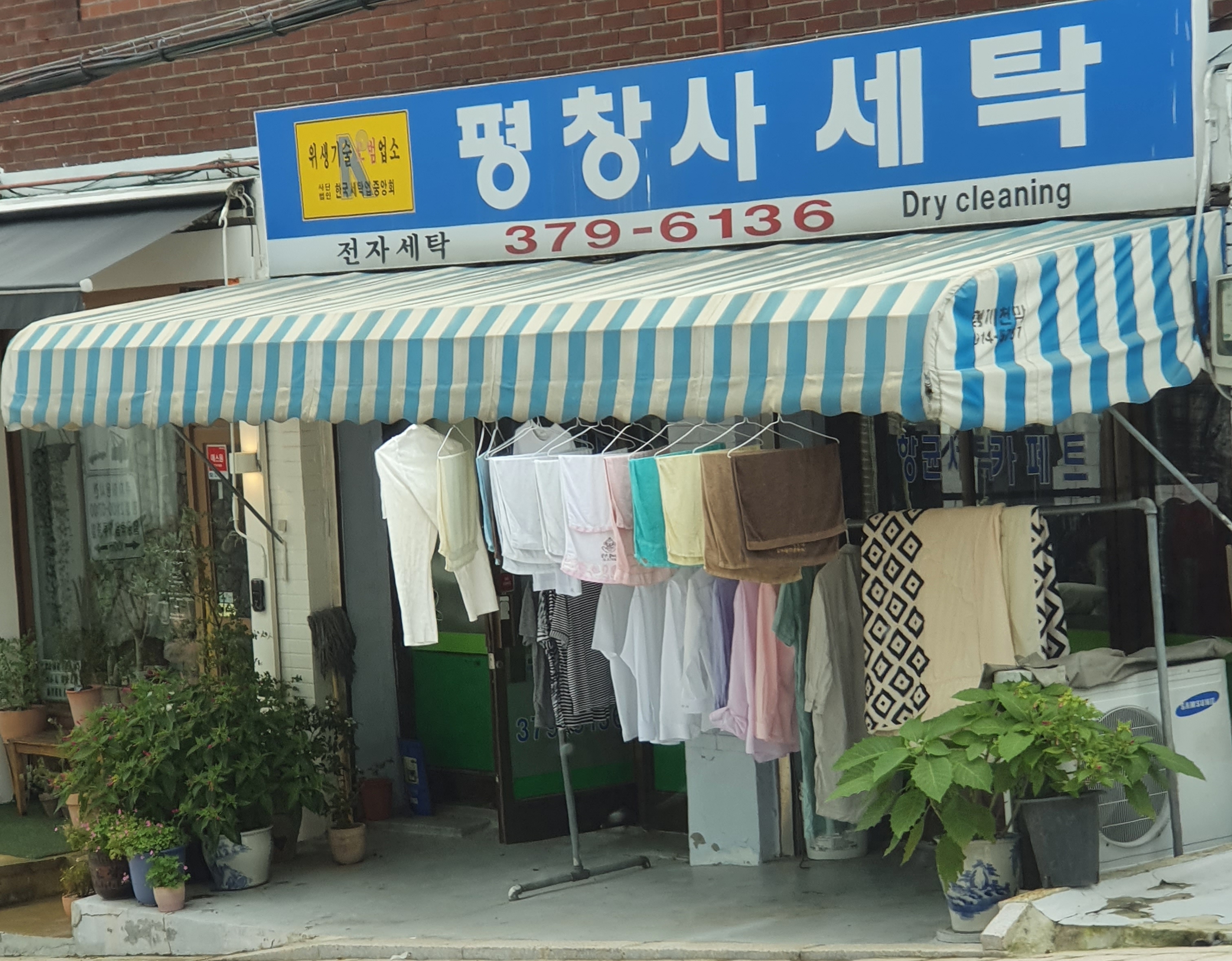 평창사세탁