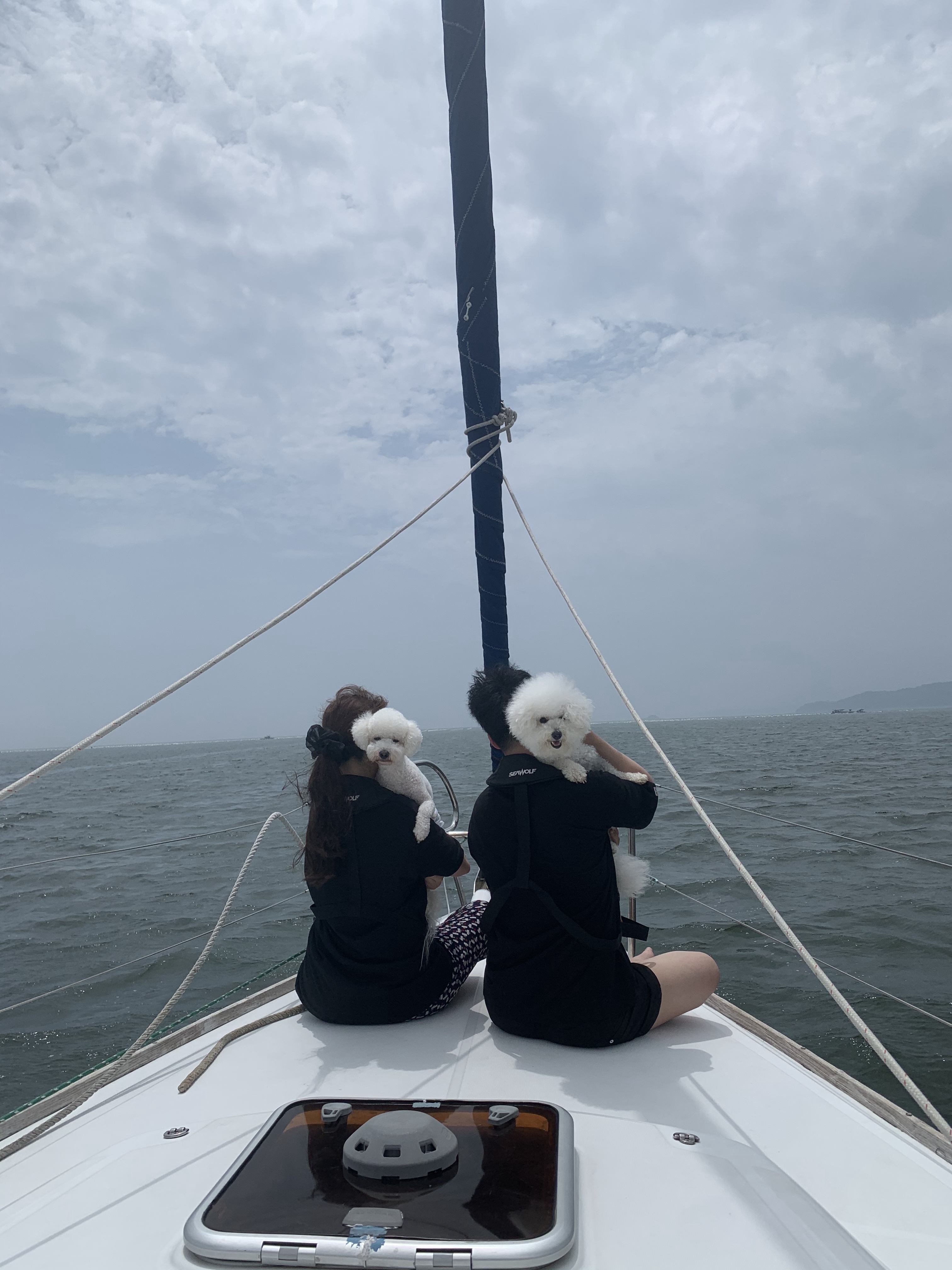 페가소스 요트투어