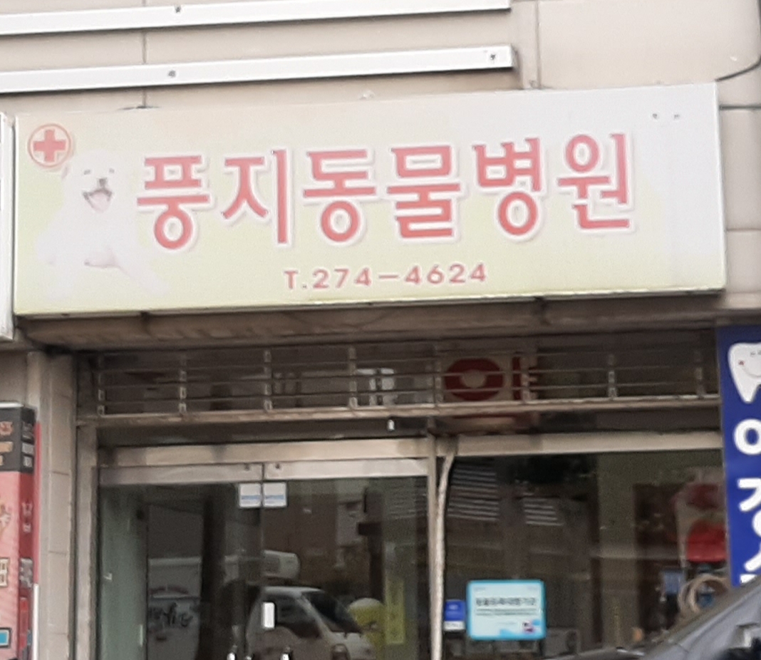 풍지동물병원