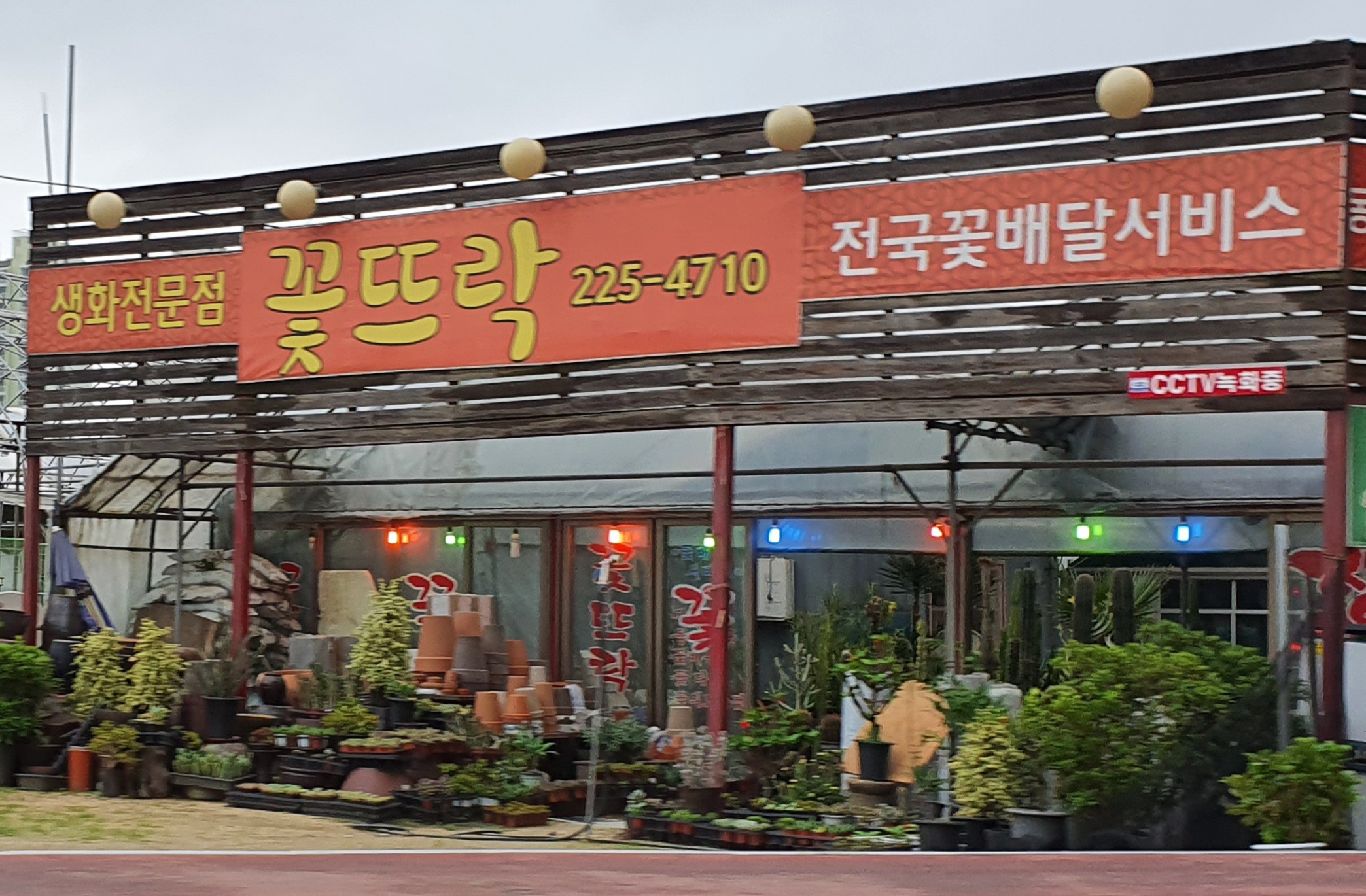 꽃뜨락