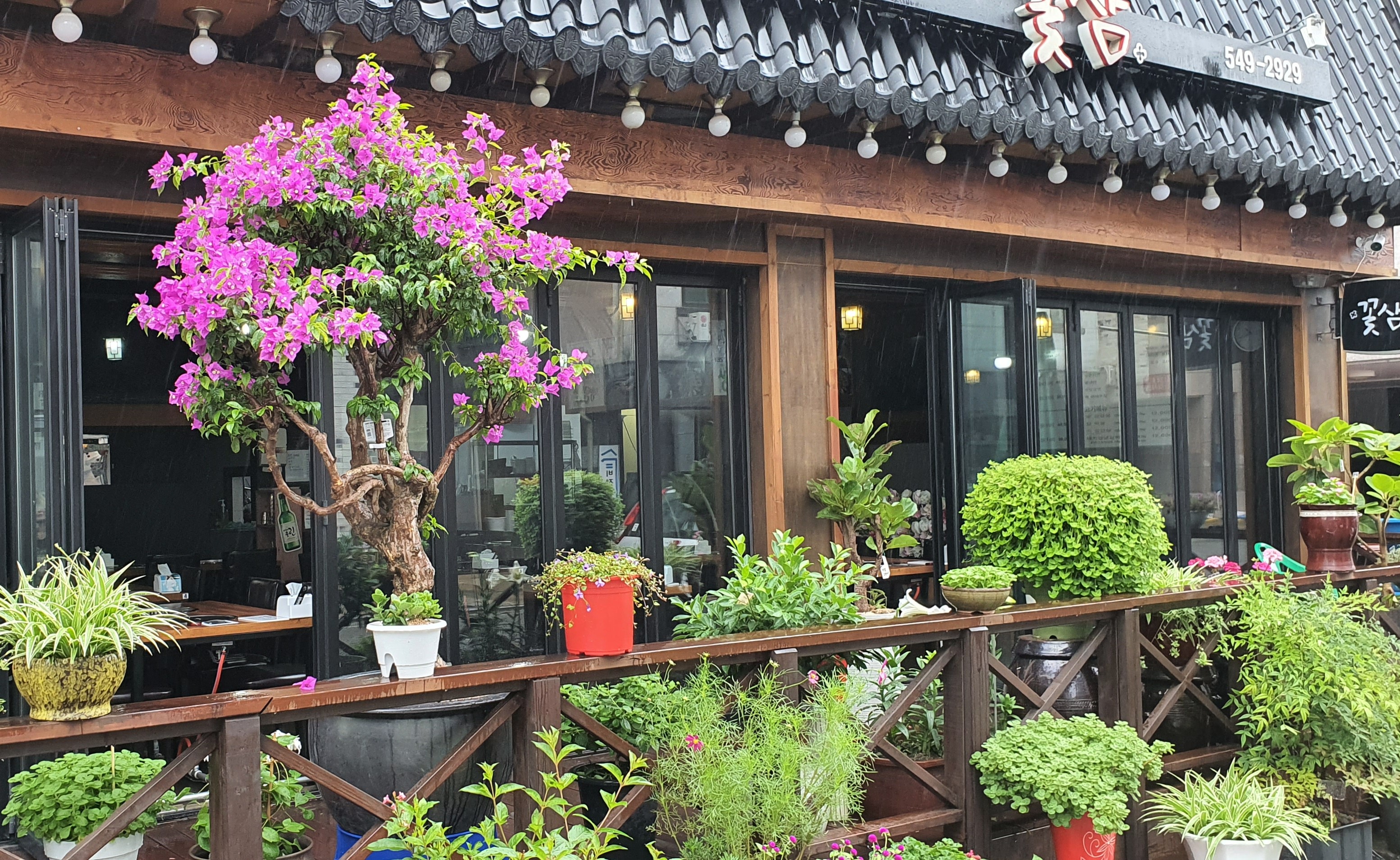 가까운 삼겹살전문점 충남 아산시 오겹살 돼지껍데기 돼지뒷고기 항정살 통삼겹 한돈 목살 꽃삼