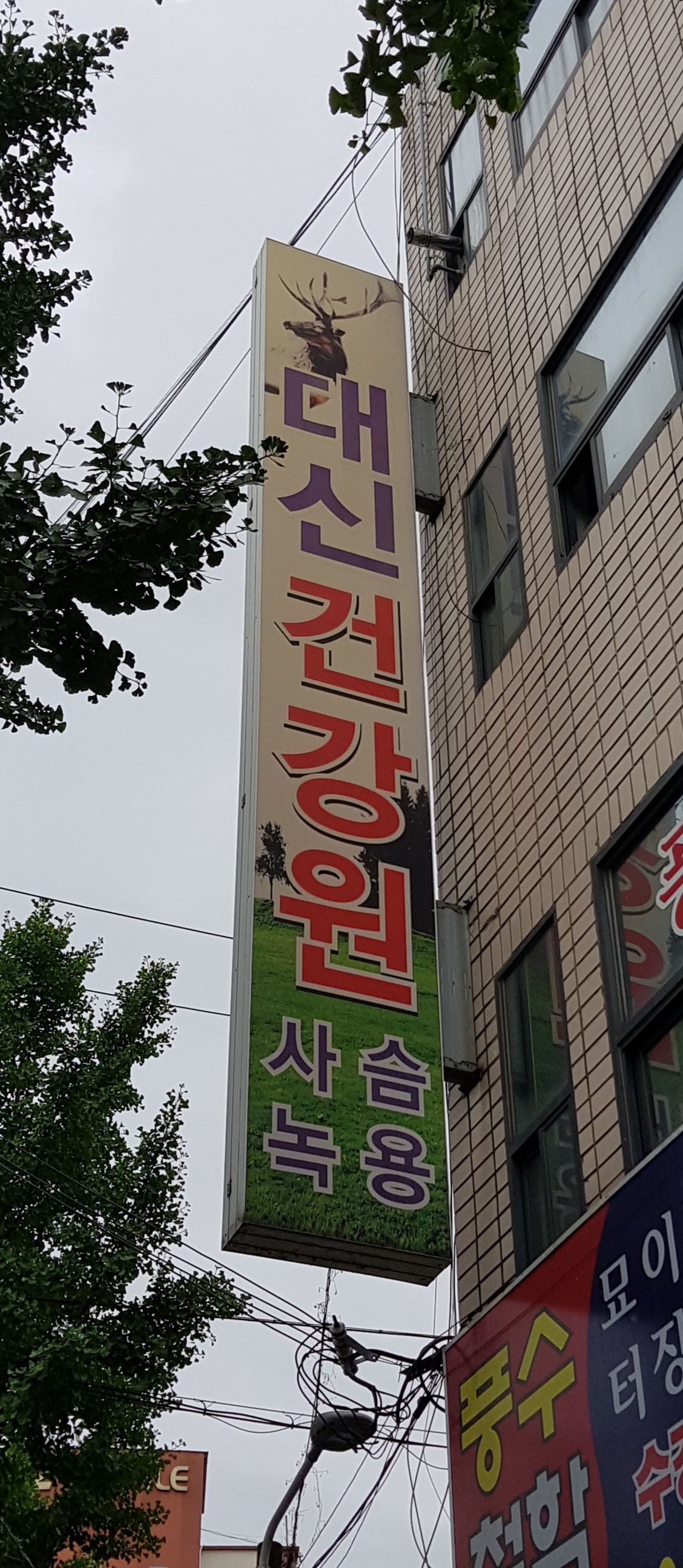 대신건강원