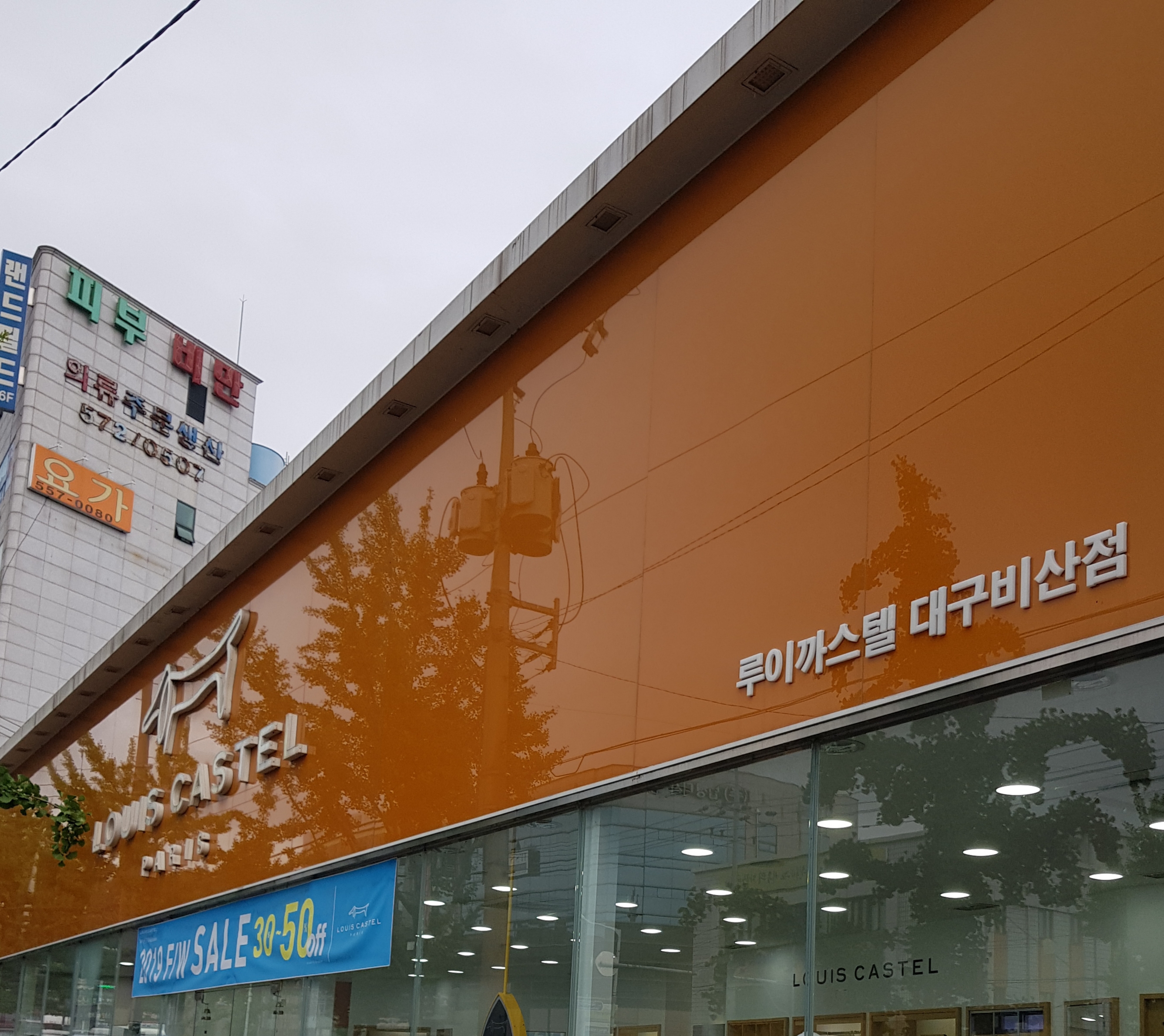 루이까스텔 대구비산
