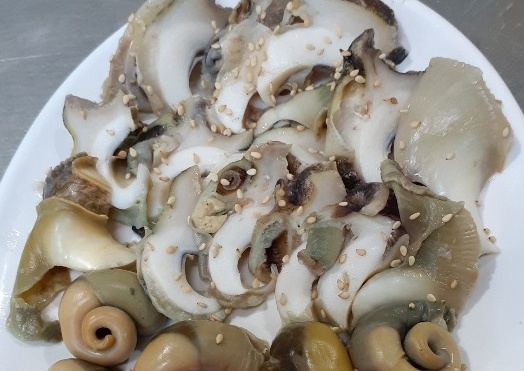 조개나라