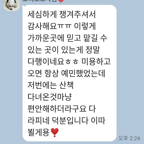 라피네애견스파 대표 이미지