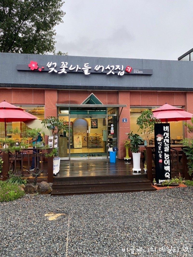 벚꽃나들버섯집