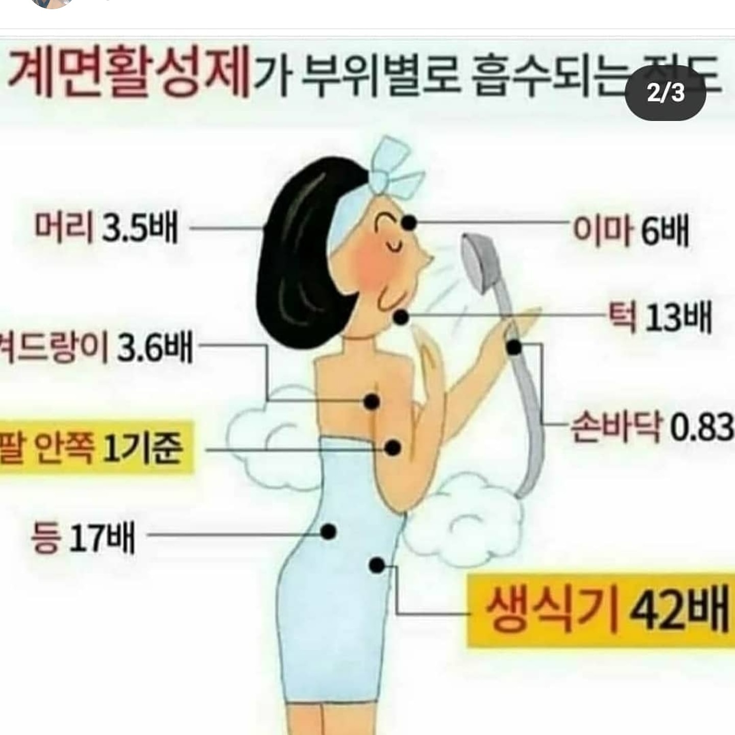 에덴인셀덤