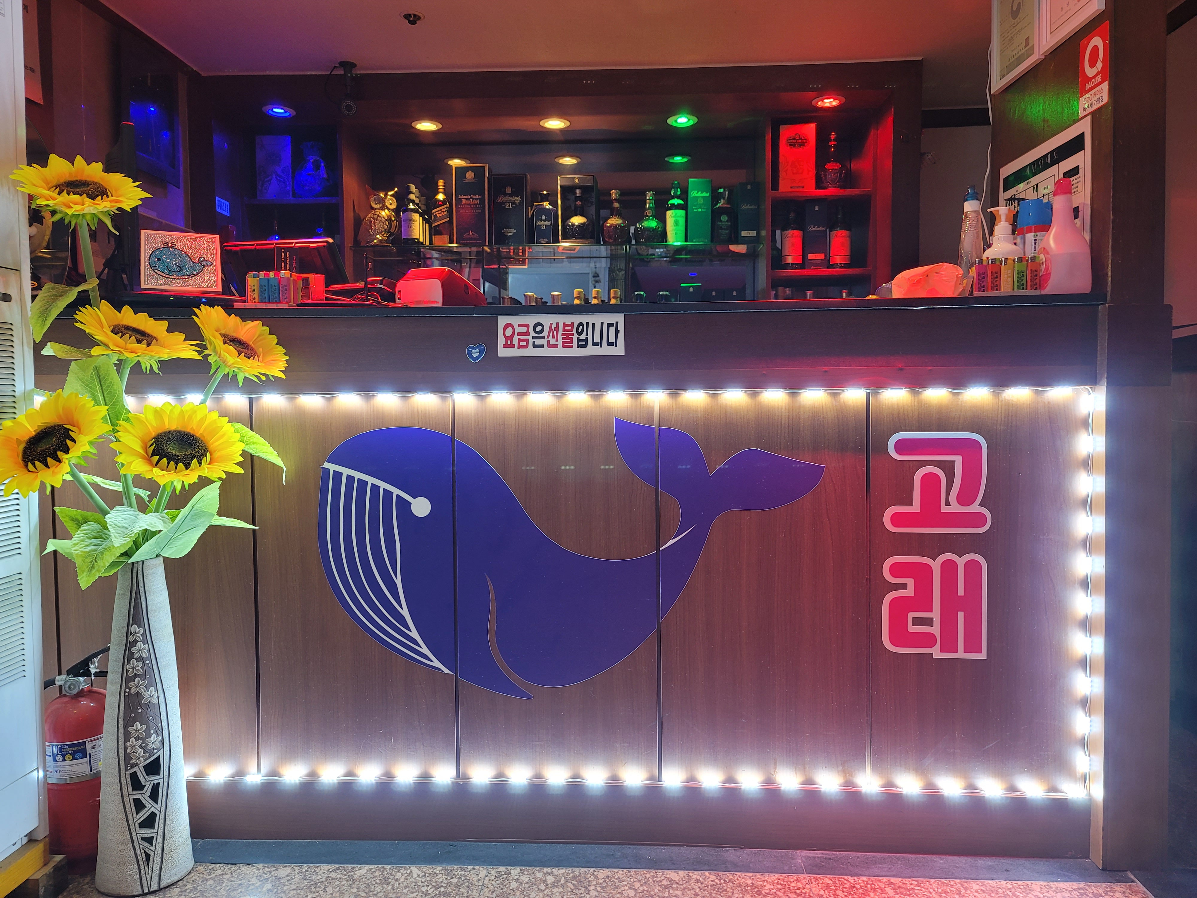 고래노래짱