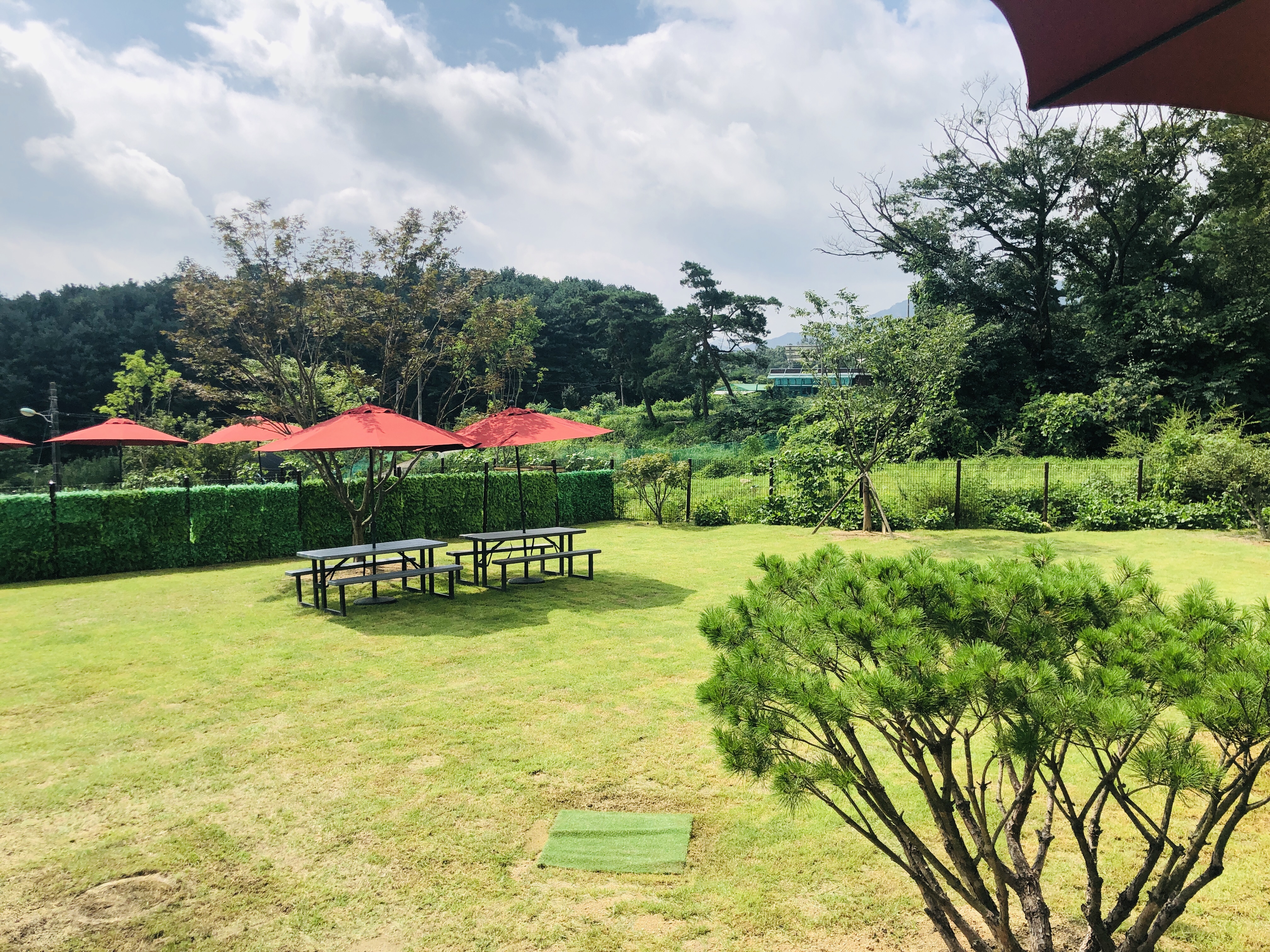 카페랄라 대표 이미지