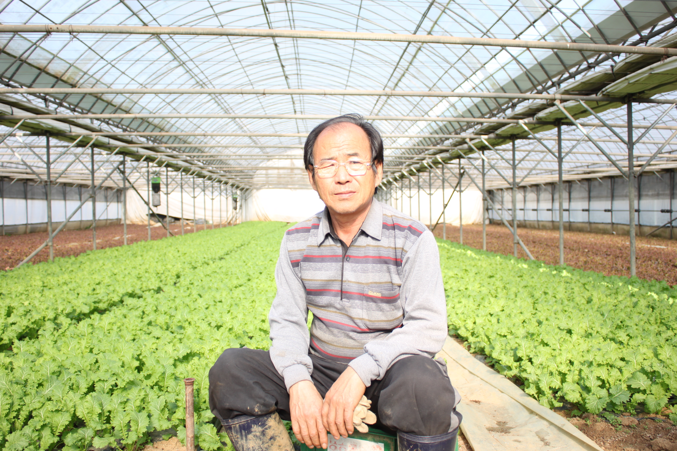 맑은샘유기농 농업회사법인