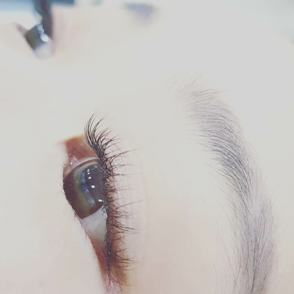 래쉬온