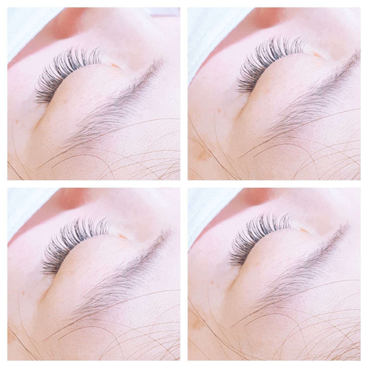 주블리눈썹가게