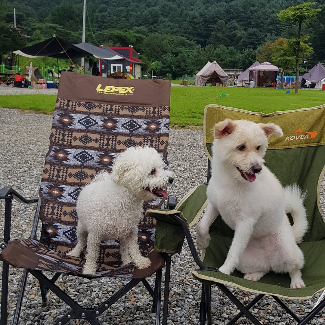 은하수캠핑장