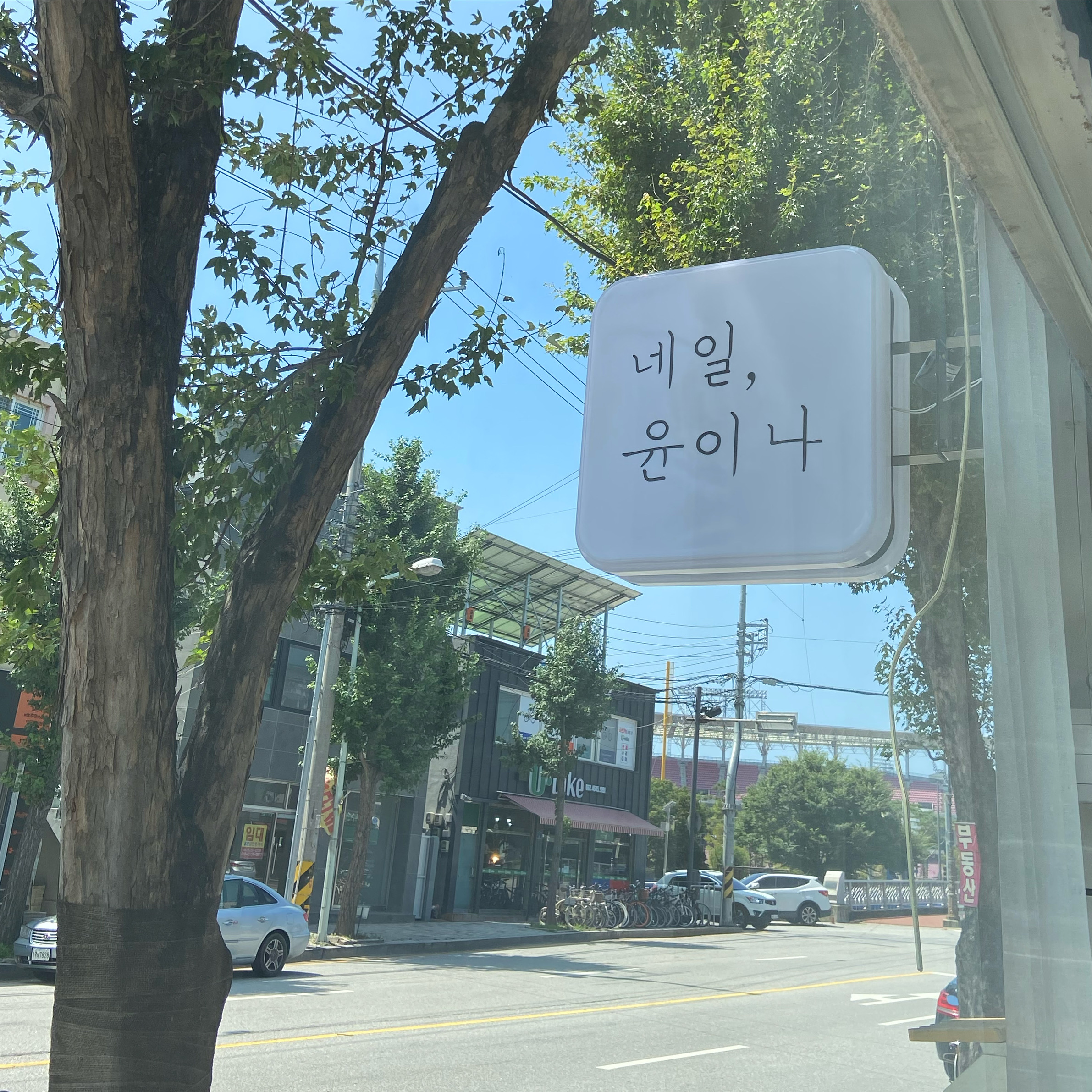 네일윤이나