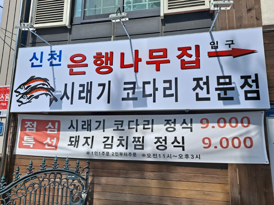신천은행나무집