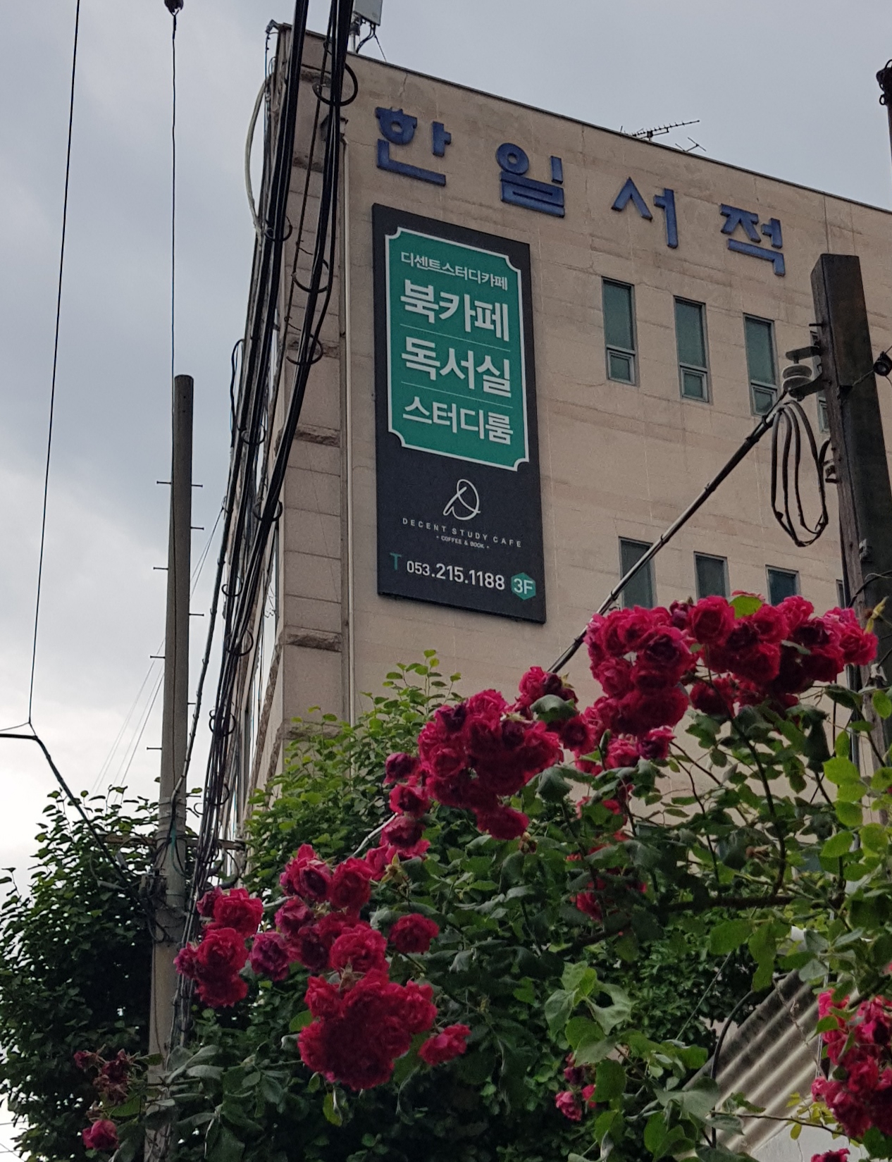 업체사진