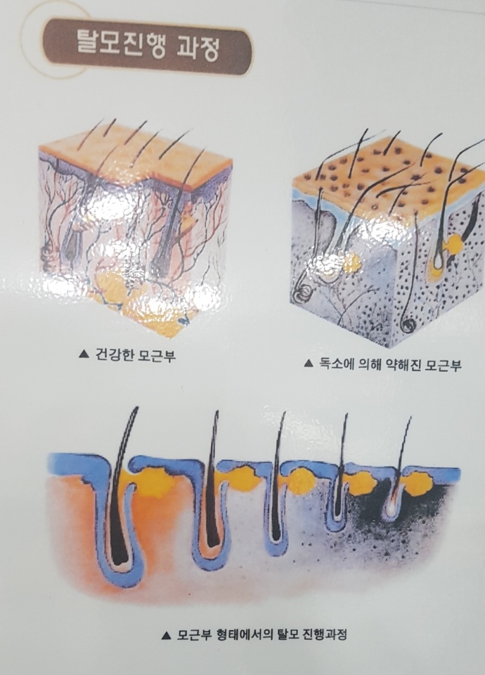 머리잘하는집
