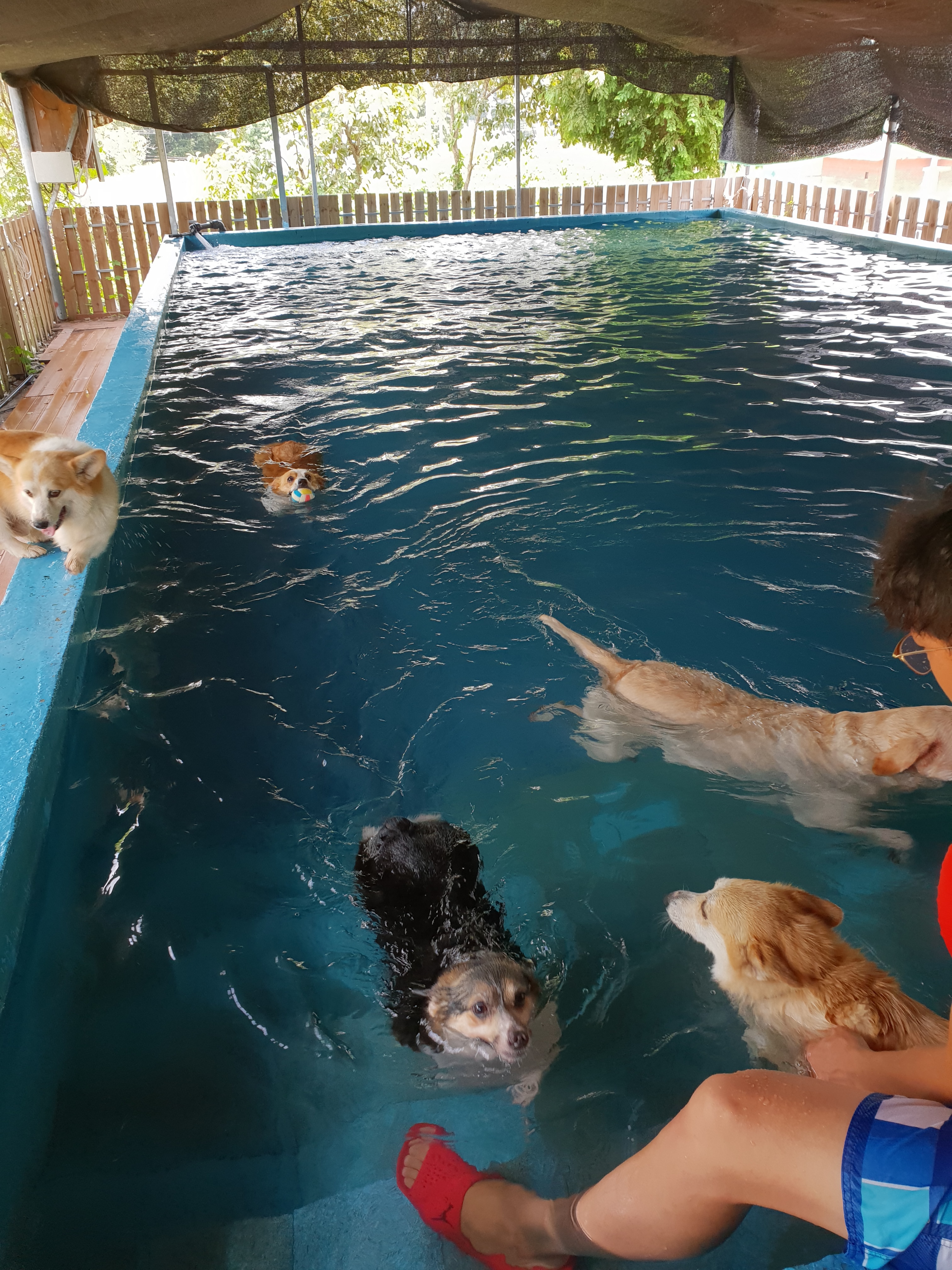 눈보뛰 대표 이미지