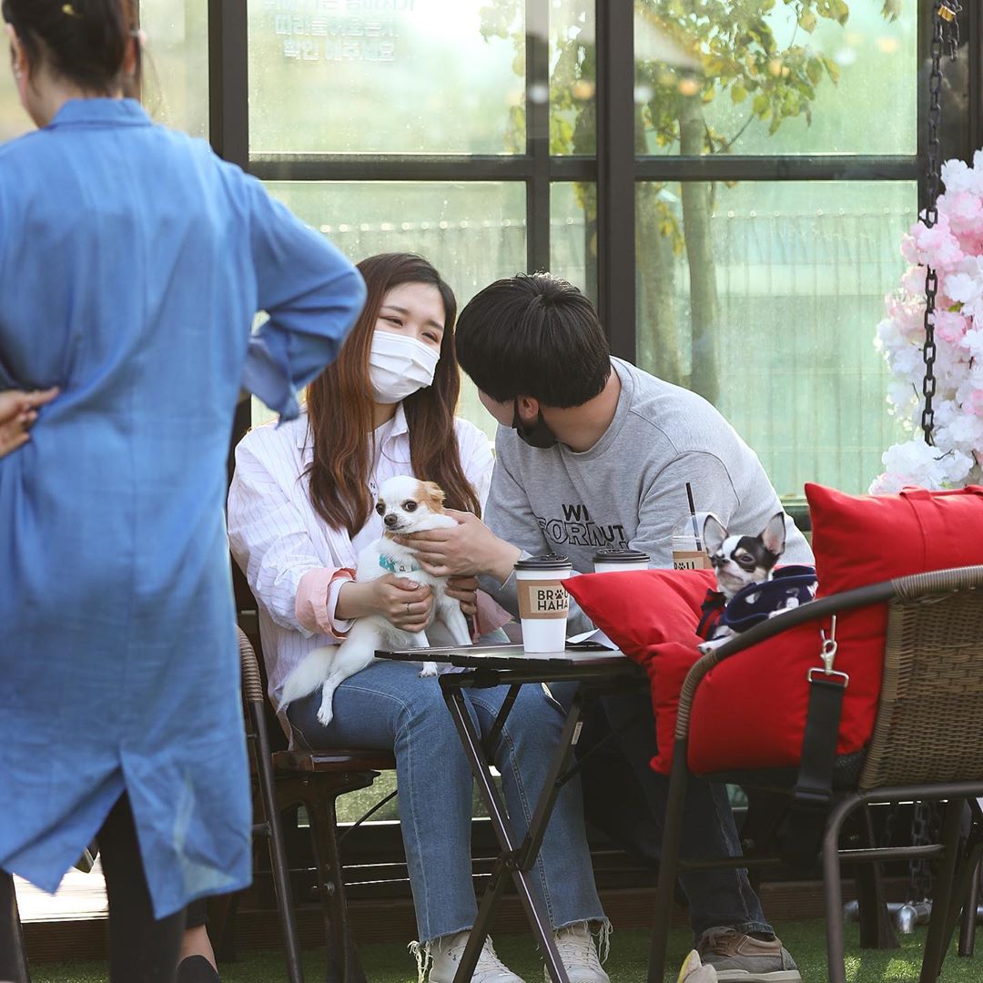 브루하하 [애견운동장,애견카페]