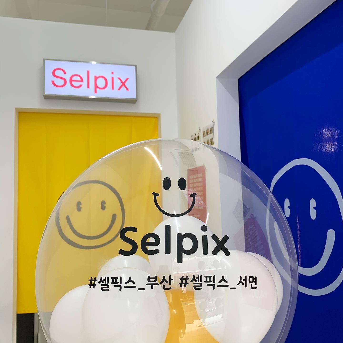 셀픽스