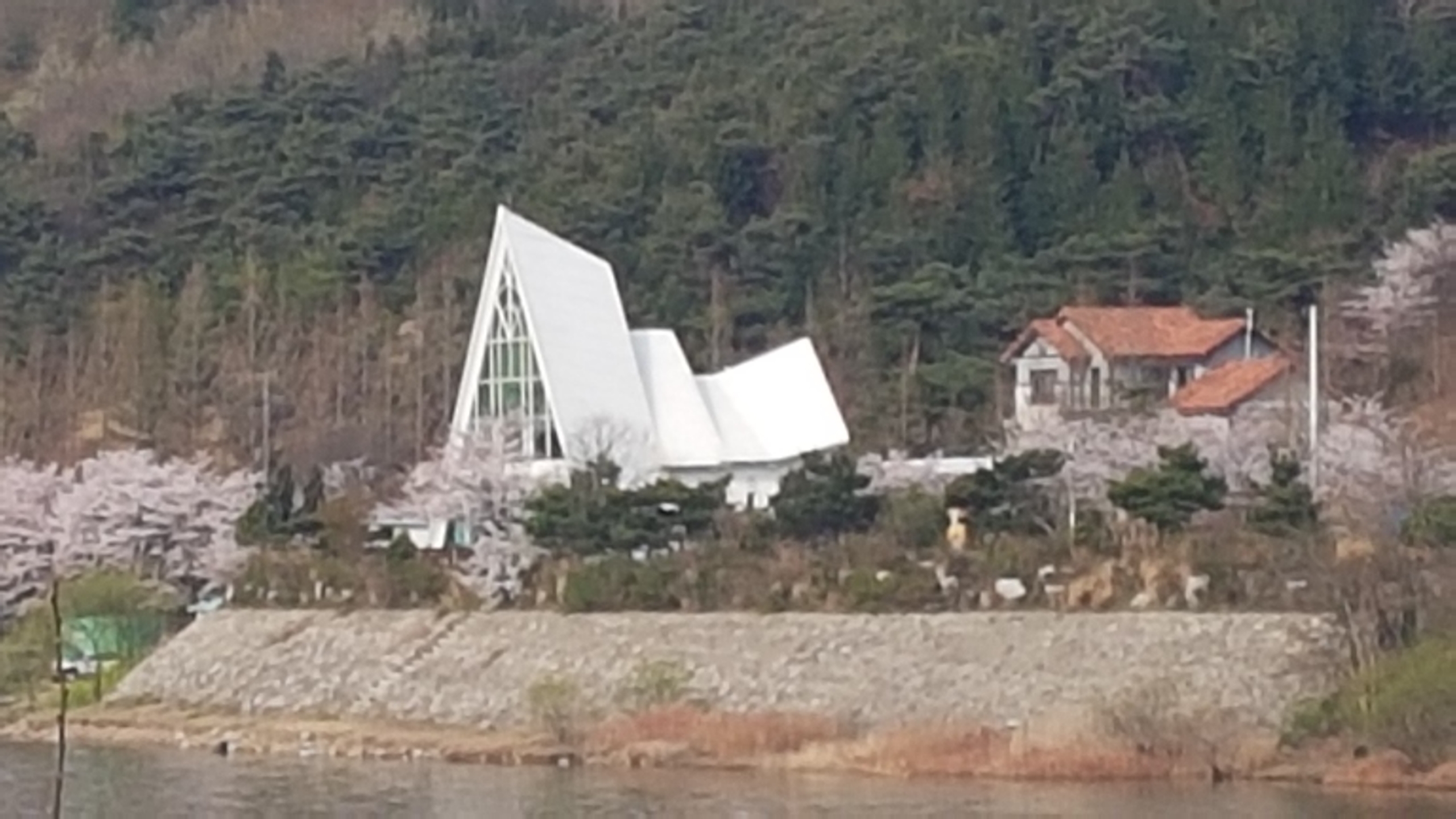 청풍장어 3
