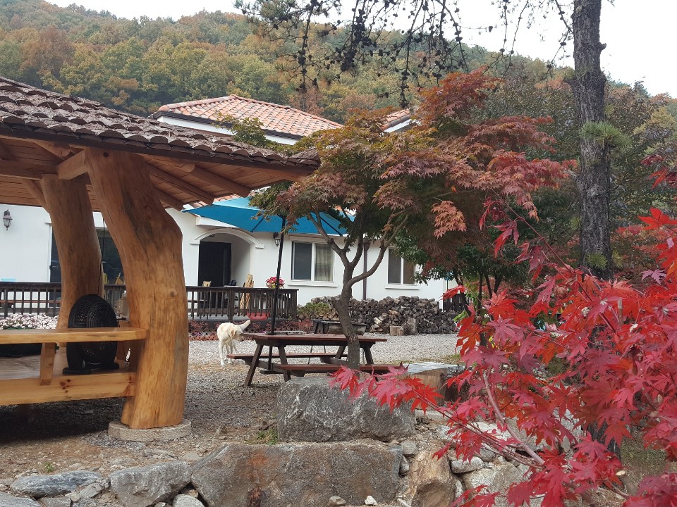 콩깍지펜션