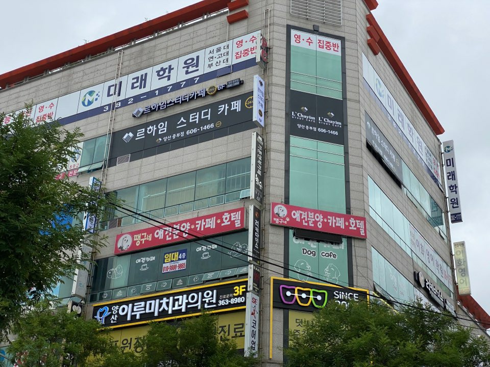 업체사진