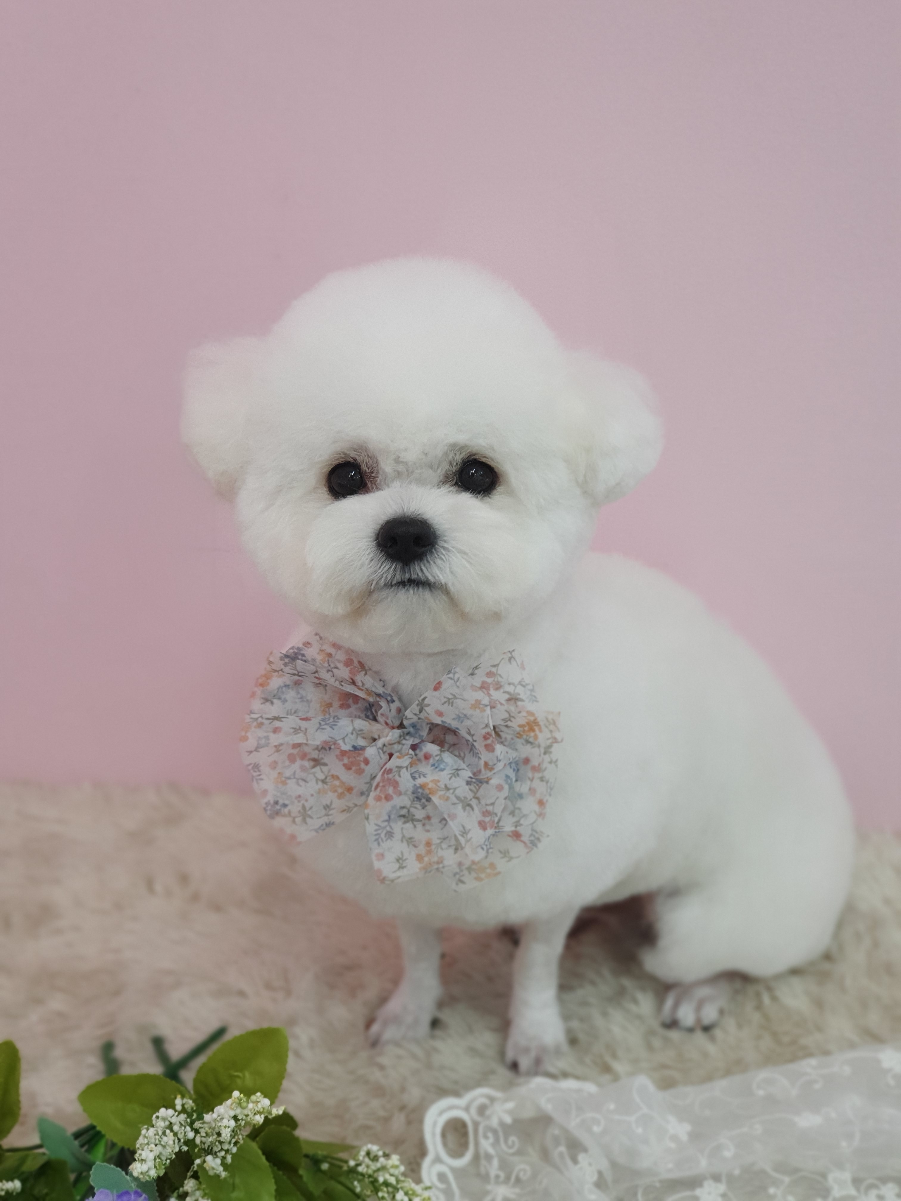 너애개 대표 이미지
