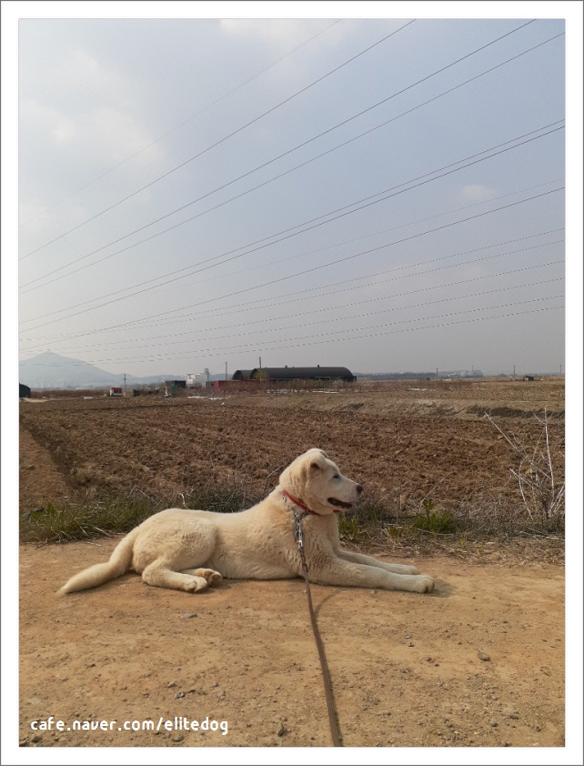 눈맞춤동물교감상담소 대표 이미지