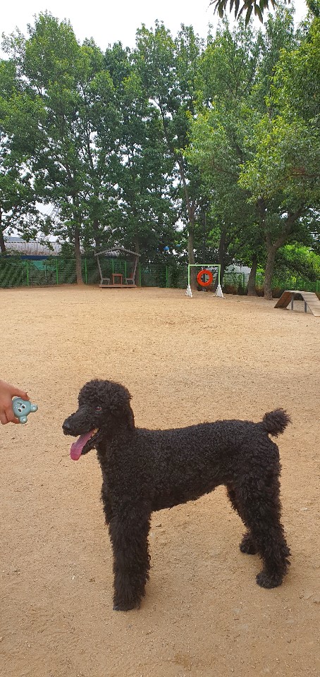 눈맞춤동물교감상담소 대표 이미지