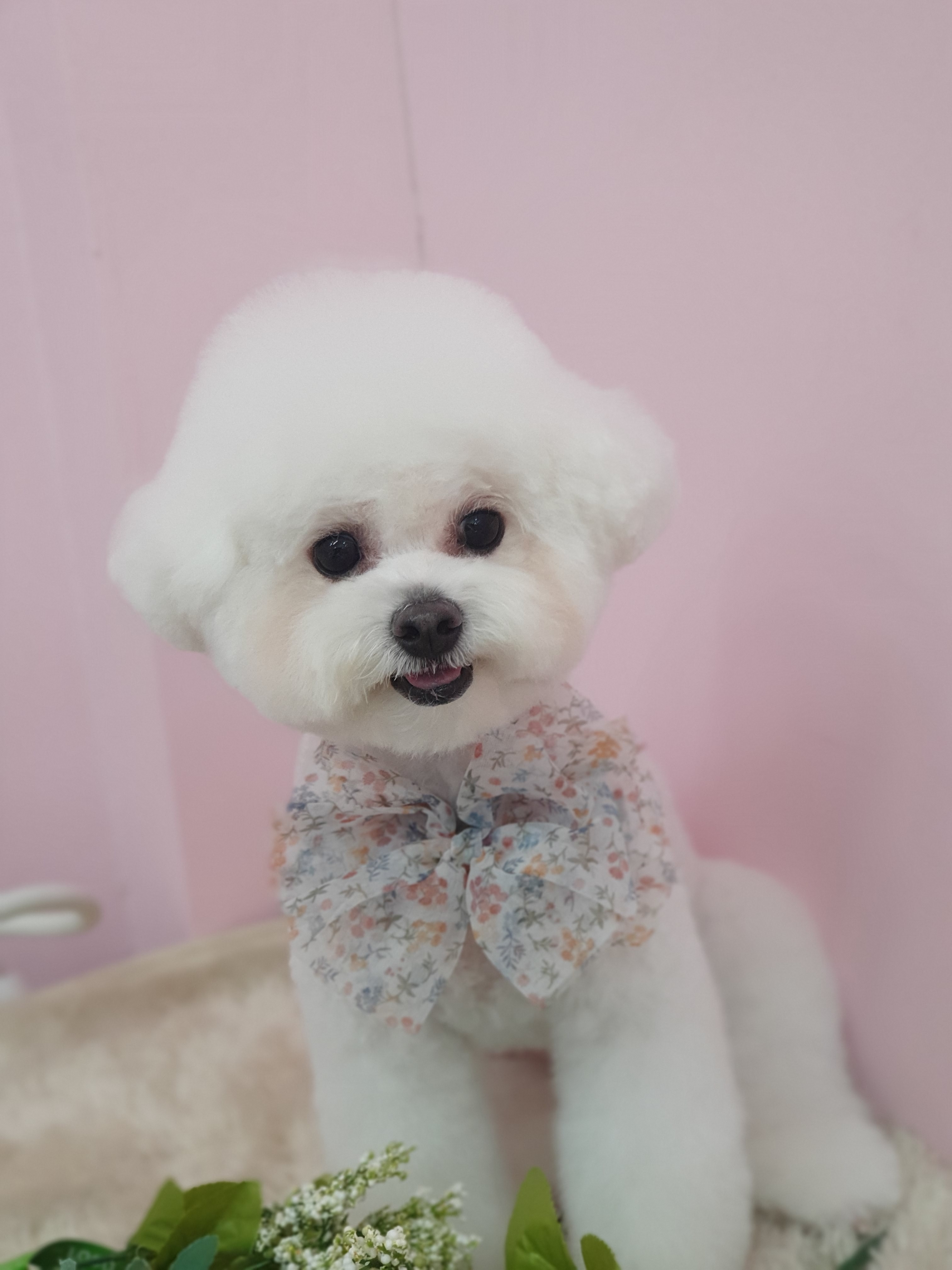 너애개 대표 이미지