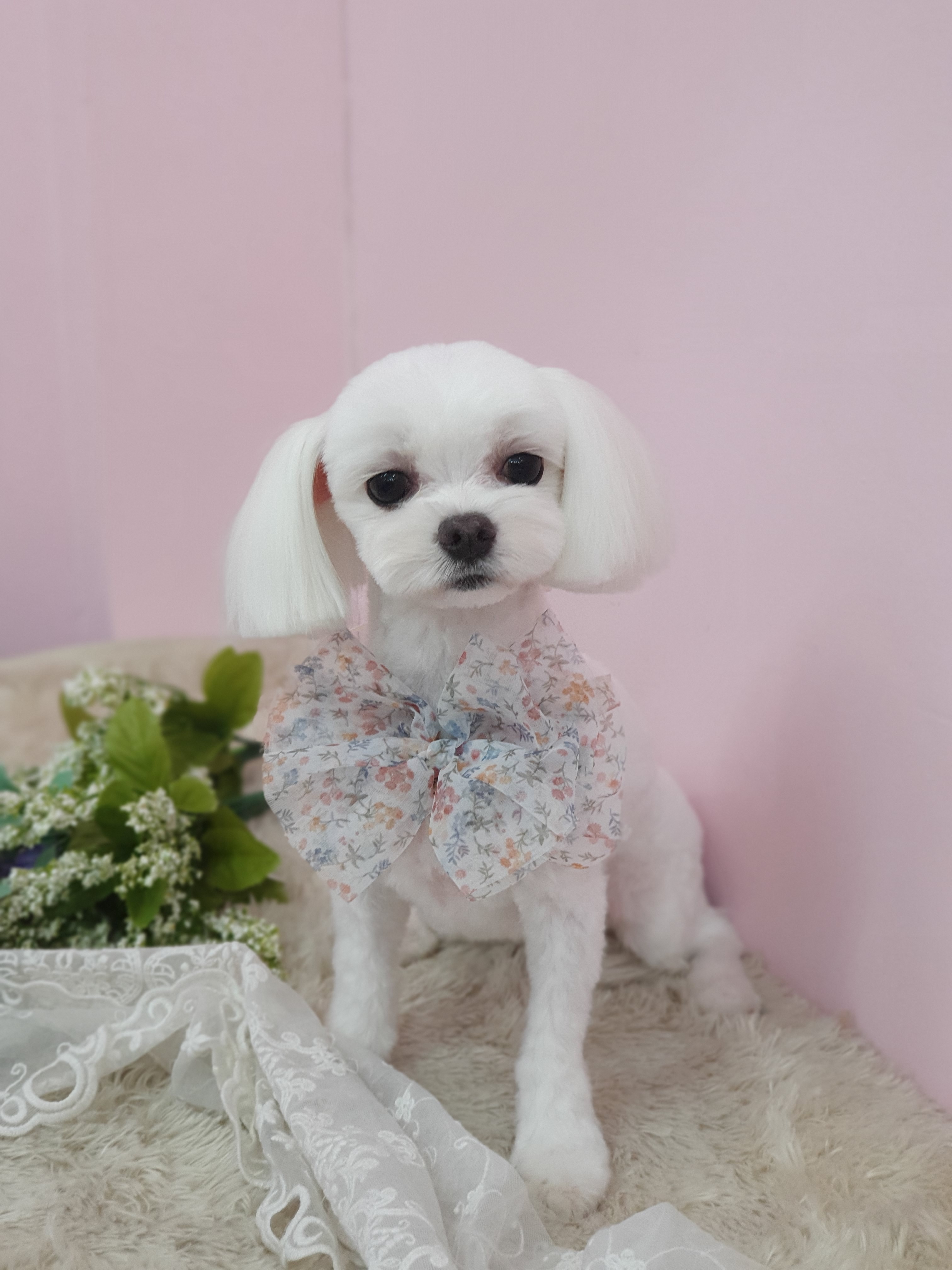 너애개 대표 이미지