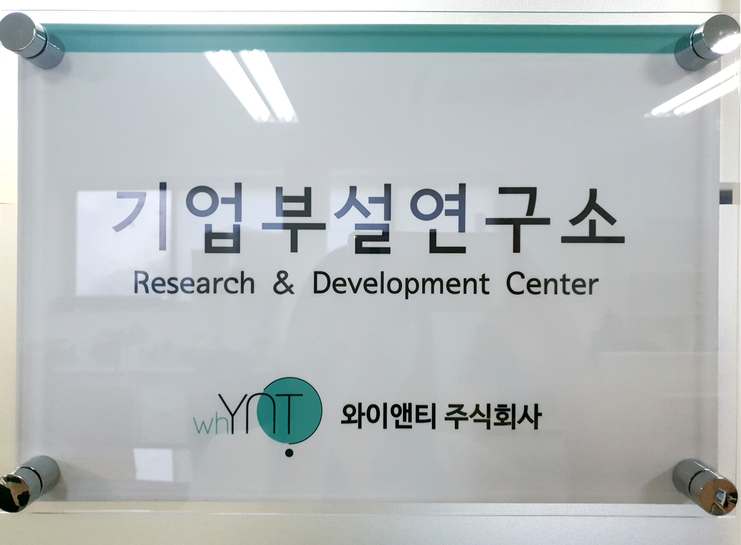 와이앤티