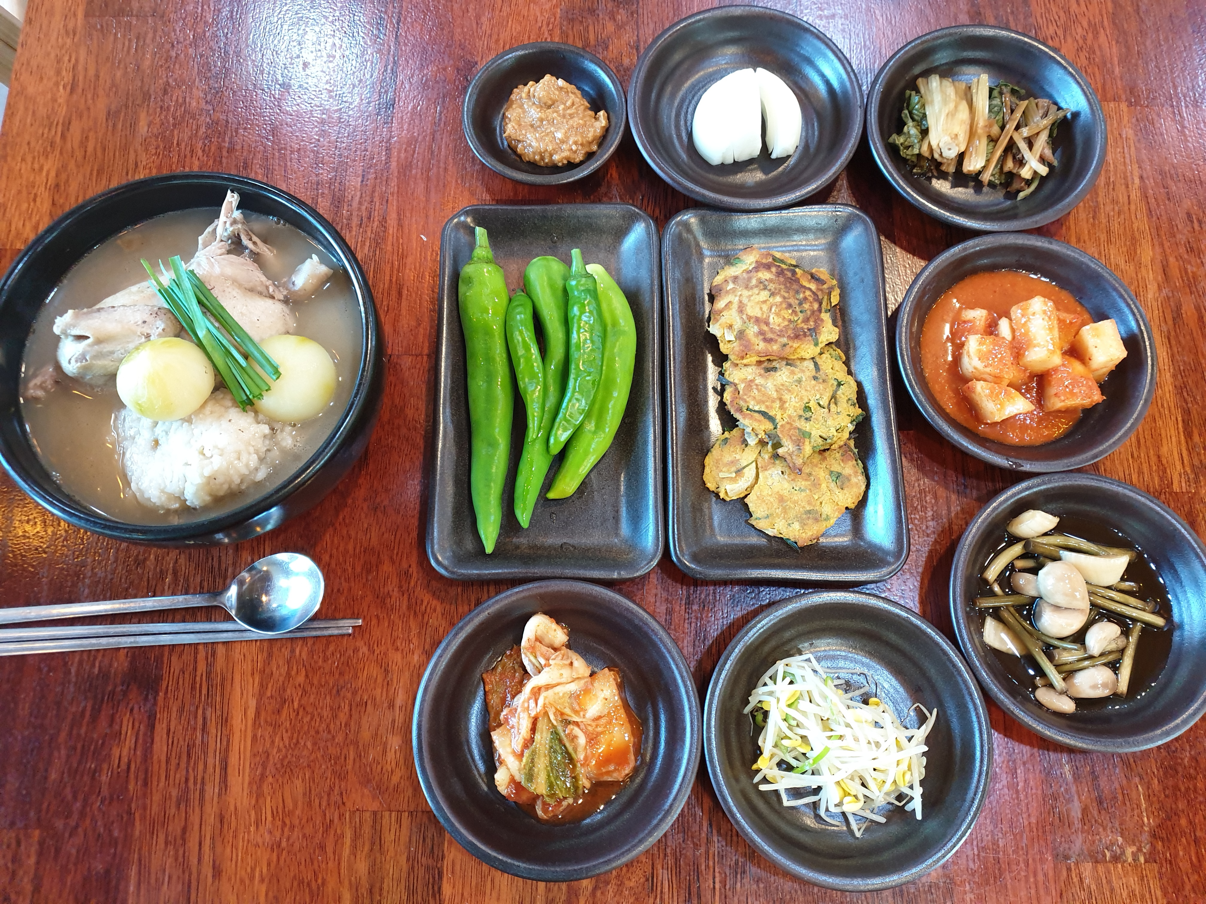 남해왼손농장맛집 경상 애견맛집