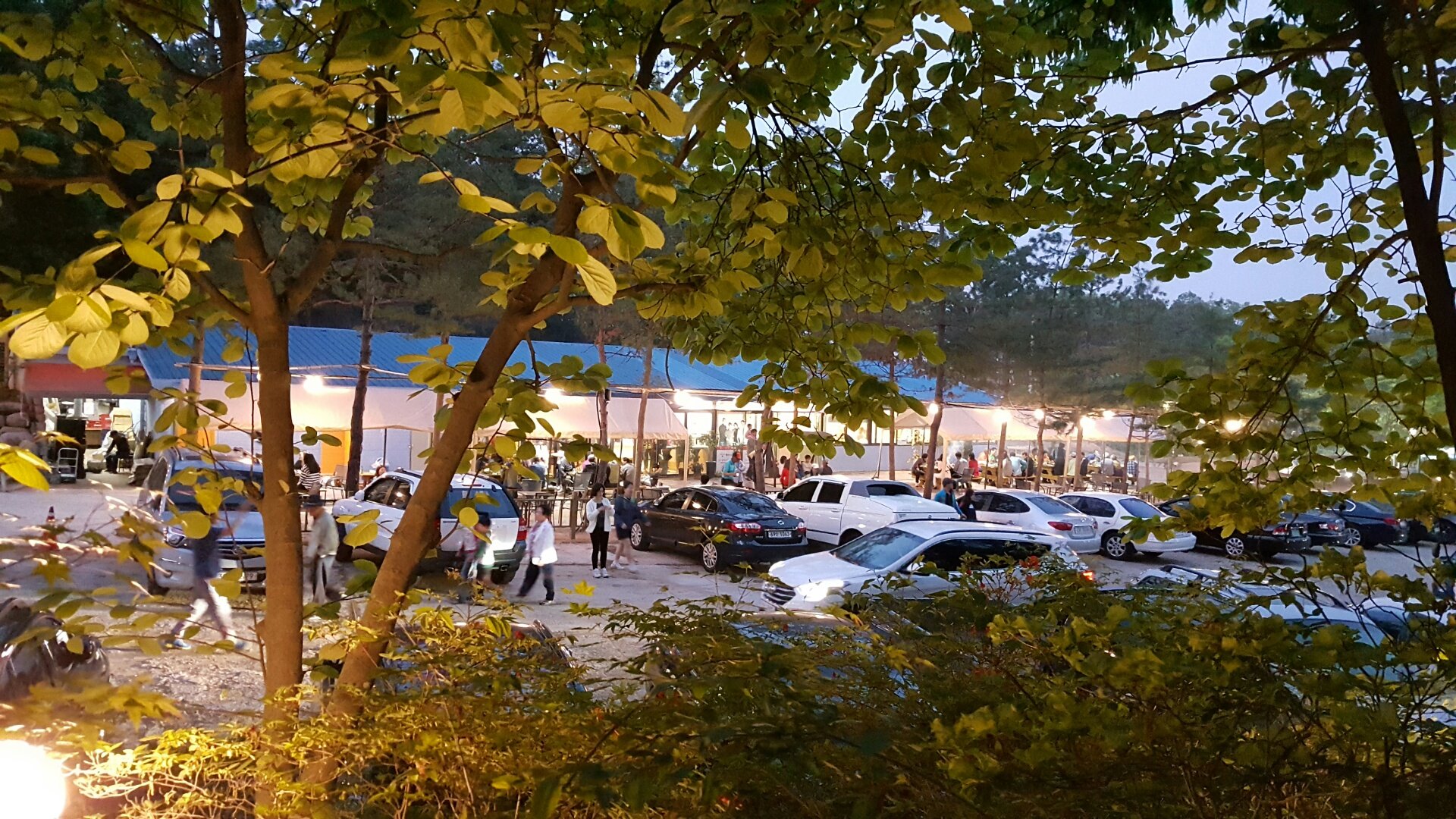 대한민국장어