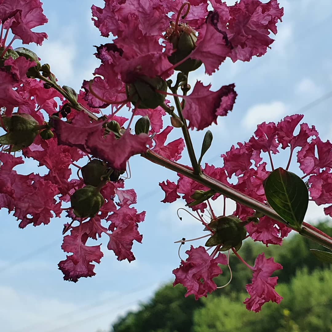 물소리새소리