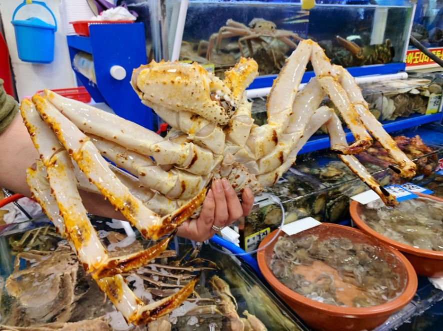 도매상회