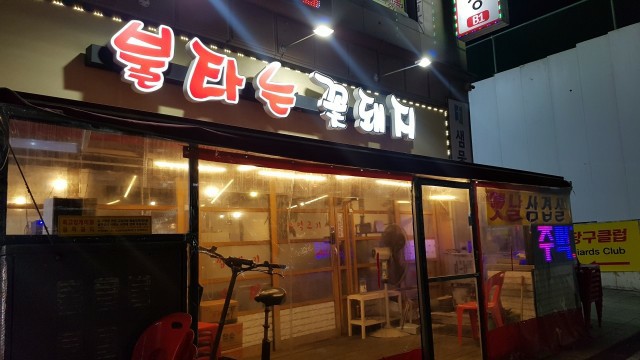 불타는꽃돼지