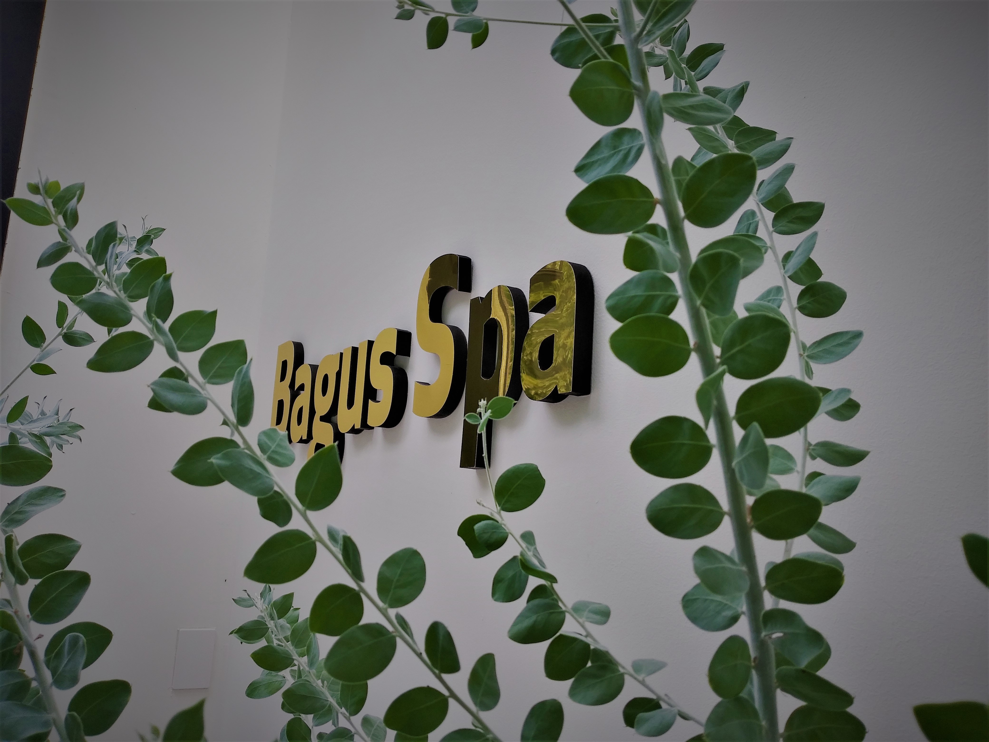 바구스스파 photo 8